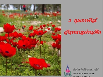 3 February – Thai Veterans Day