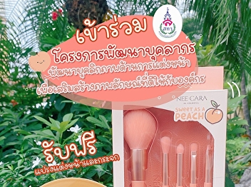 Bureau of asset and income arrange
personnel development training project